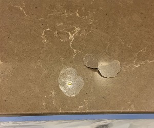 Chip repair