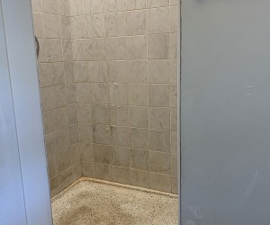 Shower surrounds deep clean, buff and seal